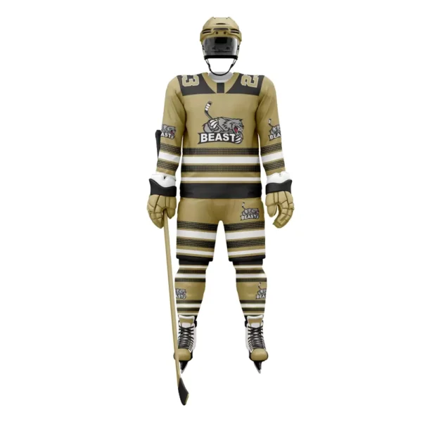 Ice hockey Uniform DZ # 483